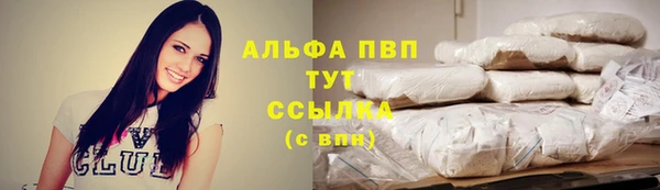 спиды Абаза