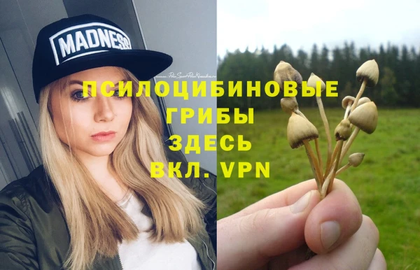 спиды Абаза