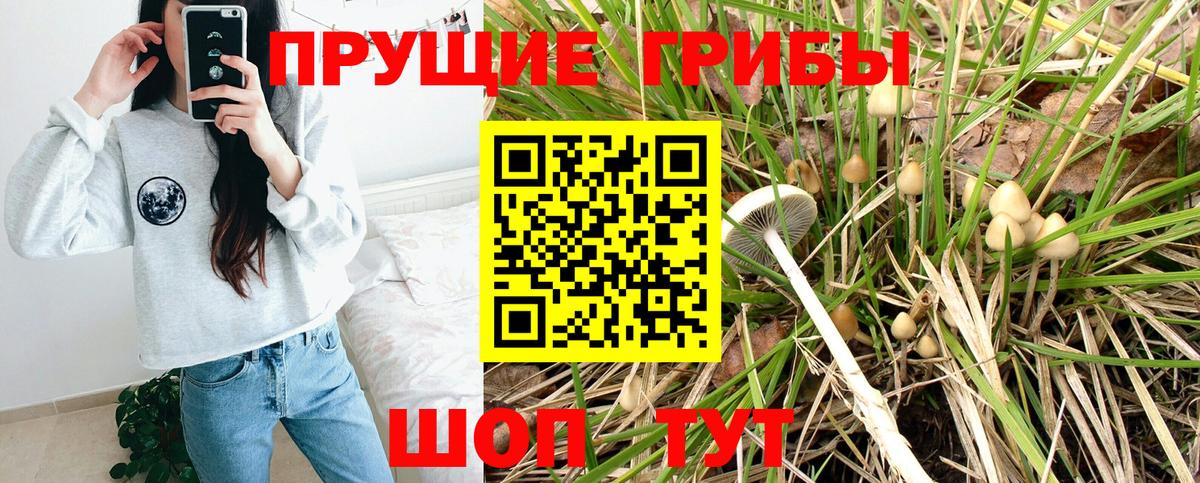 Анапа  Псилоцибиновые грибы мицелий  Псилоцибиновые грибы Magic Shrooms  Вход с VPN 
