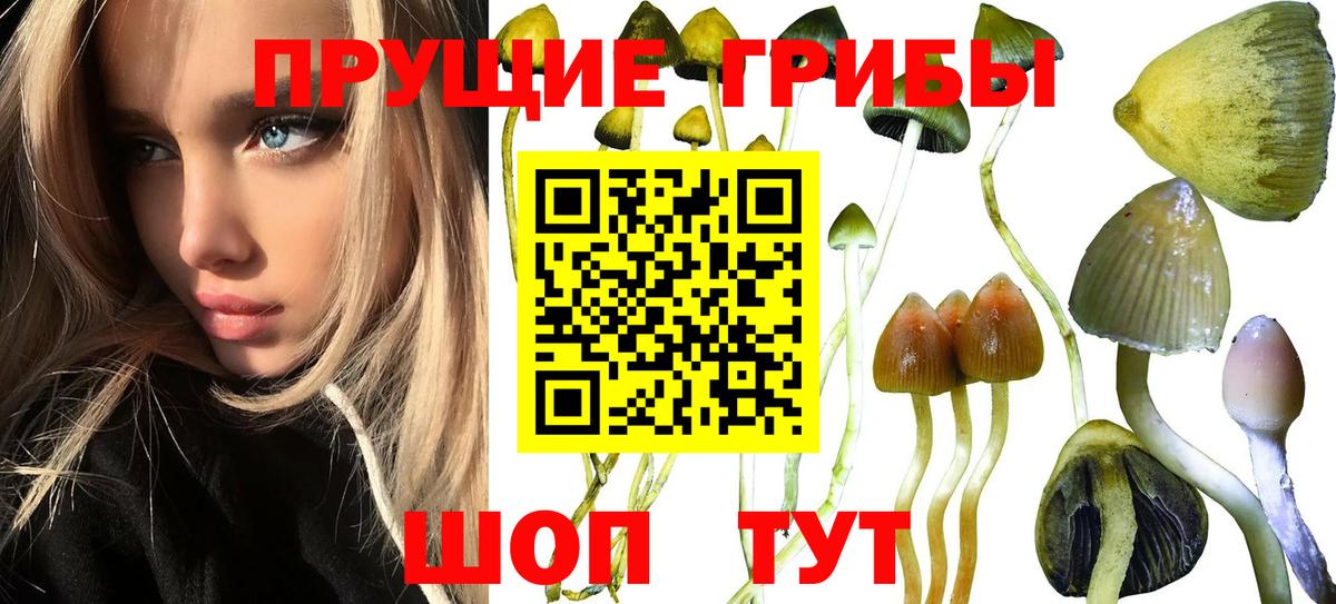 Галлюциногенные грибы прущие грибы Анапа