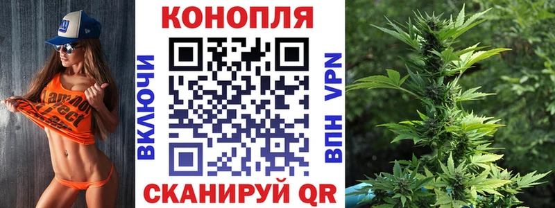 Шишки марихуана планчик omg как войти Анапа сколько стоит